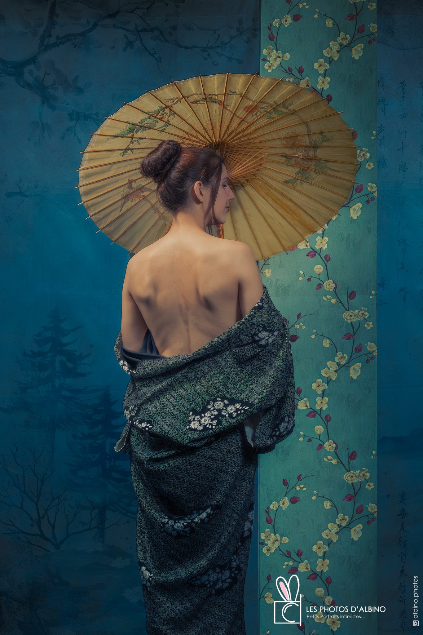 Sous le Kimono de la Bijin